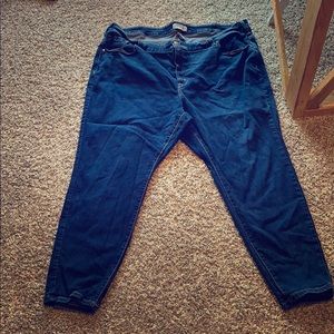 LANE BRYANT JEANS 👖